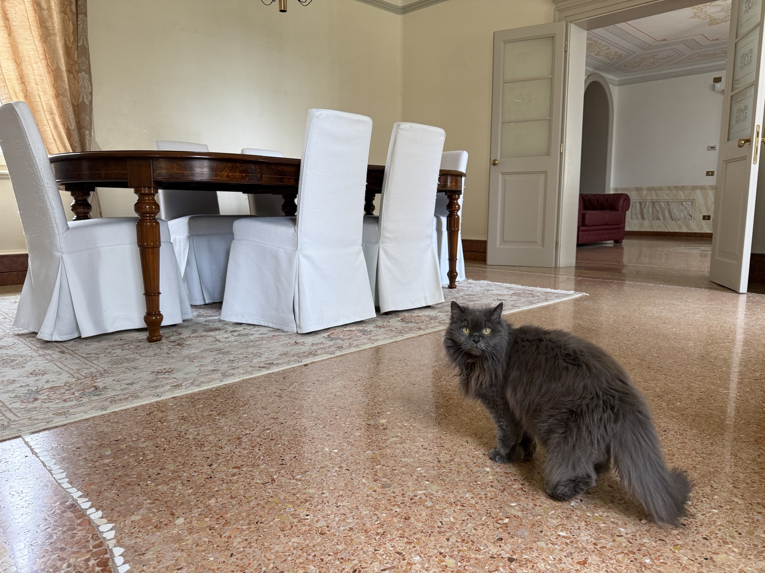 2b6cd051f8ad8a721eb111ac6082e7a8